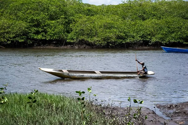 Pêcheur Pagayant Sur Lit Rivière Jaguaripe Dans Ville Aratuipe Bahia — Photo