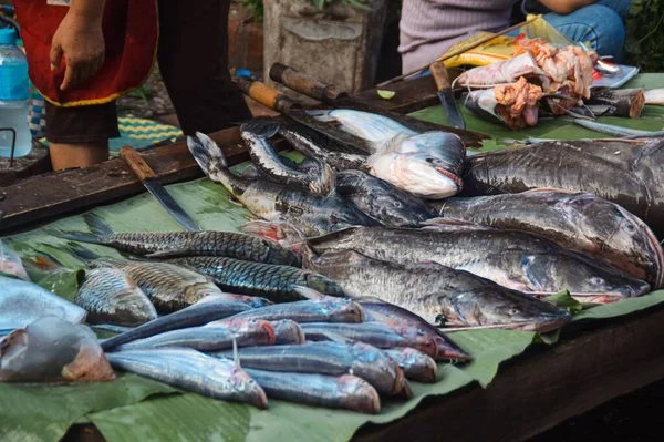 Fishmonger Selling Freshwater Fishes Mekong River Local Morning Market Luang — Stock Photo, Image