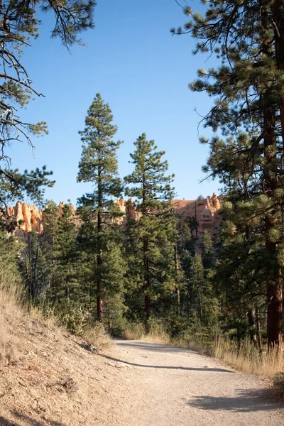 Trail Leading Bryce Canyon Utah National Park Usa — Stock Photo, Image
