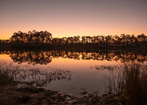 Ein Wasserteich Mit Bäumen Die Sich Während Des Goldenen Sonnenaufgangs — Stockfoto