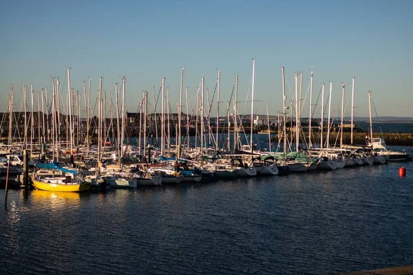 Linje Båtar Förtöjda Howth Marina — Stockfoto