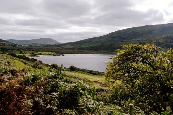 Schöne Berge Connemara National Park Irland Der Region Galway — Stockfoto