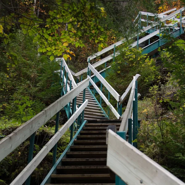 Eine Treppe Umgeben Von Bäumen — Stockfoto