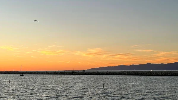 겨울에는 태평양의 마리나델 레이에 주황빛 — 스톡 사진