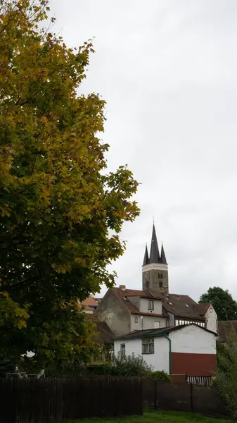 曇りの日に庭に木がある古代の教会の美しい景色 — ストック写真