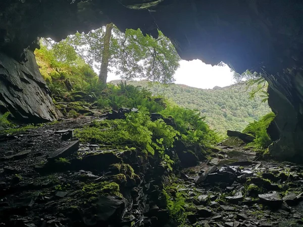 Una Vista Panorámica Paisaje Verde Visto Desde Cueva Bosque Luz —  Fotos de Stock