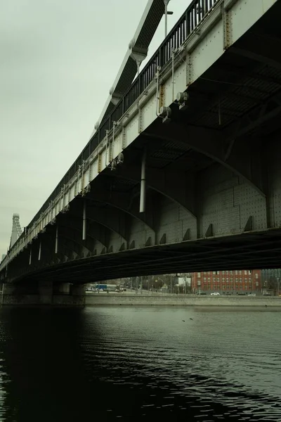 Vertical Shot Bridge Woman Buenos Aires Argentina — Stock Photo, Image