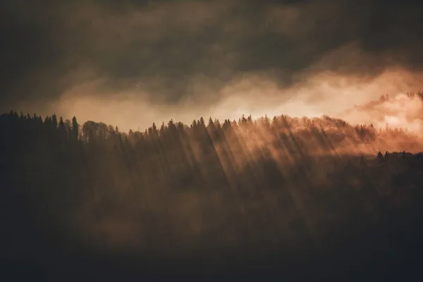 Захватывающий Вид Солнечных Лучей Силуэт Загадочного Леса Закате — стоковое фото