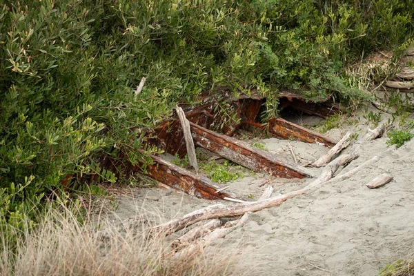 Naufrágio Navio Enferrujado Enterrado Areia Recuperado Pela Vegetação — Fotografia de Stock