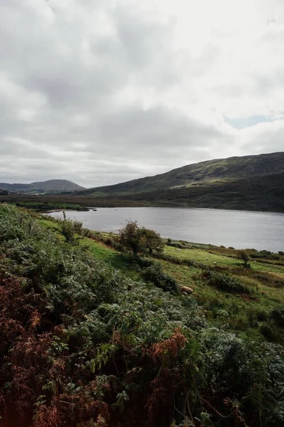 Connemara Ulusal Parkı Ndaki Güzel Dağlar Galway Bölgesindeki Rlanda — Stok fotoğraf