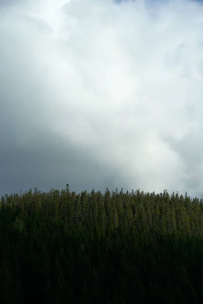 Plan Vertical Paysage Naturel Près Des Collines Totenaasen Oppland Norvège — Photo