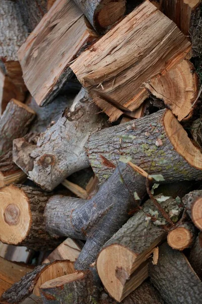 Een Verticaal Shot Van Gekapt Brandhout Behang Van Gekapte Takken — Stockfoto