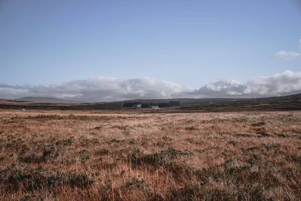 眼鏡の背景に雲のある畑の美しい景色 — ストック写真