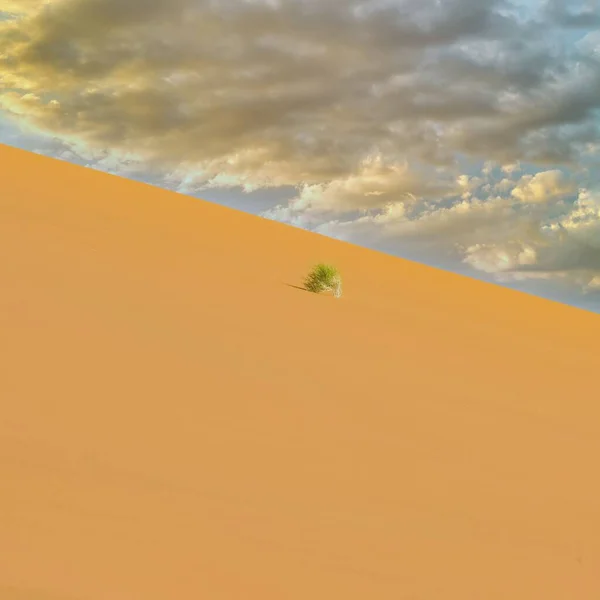Namibia Namib Desert Graphic Landscape Yellow Dunes Background — Stock Photo, Image