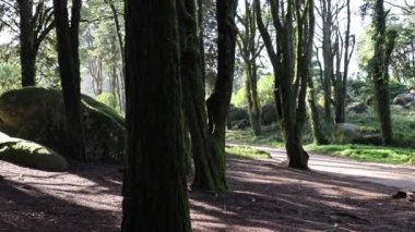 Portekiz 'deki Sintra Cascais Doğal Parkı' nın üzerindeki arazinin bir görüntüsü.