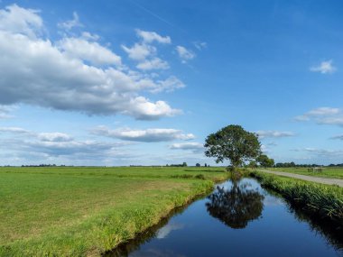 Su kanalının büyüleyici bir görüntüsü ve arka planda bir ağaç olan bir çayır boyunca paralel bir yol.