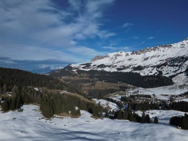 Kış boyunca orman, kar tarlaları ve dağların manzaralı bir görüntüsü.