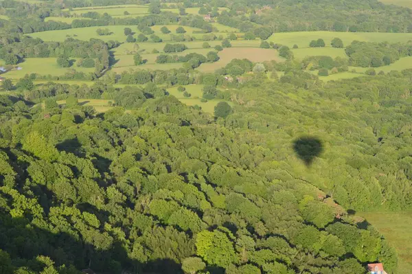 Kırsal Kesimdeki Yemyeşil Ağaçların Üzerinde Sıcak Hava Balonu Gölgesi Olan — Stok fotoğraf