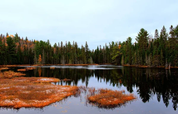 Pohled Klidné Jezero Obklopené Zelenými Vysokými Stromy Proti Zatažené Obloze — Stock fotografie