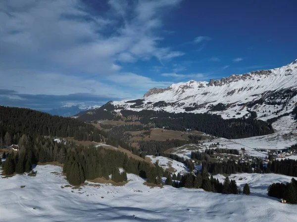 Een Schilderachtige Opname Van Bos Sneeuwvelden Bergen Tijdens Winter — Stockfoto