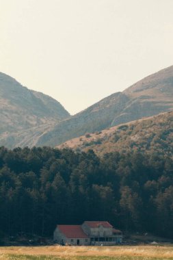 Yeşil ağaçlar ve dağlardan oluşan bir ormanın önünde terk edilmiş bir evin dikey görüntüsü.