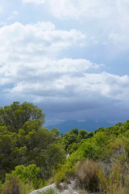 İspanya, Valencia 'da gündüz vakti yüksek yeşil dağlarla Altea Hills' in dikey görüntüsü.