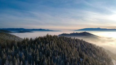 Missoula, Montana, ABD 'deki sisli orman ve dağ manzarası.