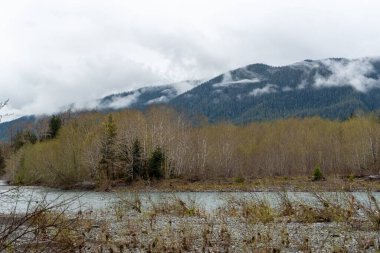 Bulutlu gökyüzünün altında yapraksız ağaçların olduğu ormanlık bir tepe manzarası.