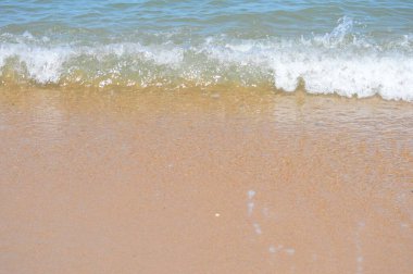 Avustralya Okyanus dalgası kumsalı