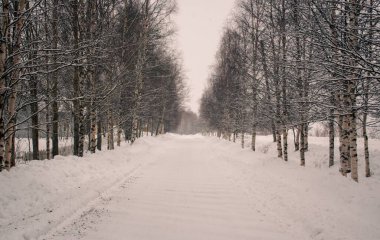 Kuzey ülkesi Finlandiya ve kuzey Arktik bölgesi Laponya