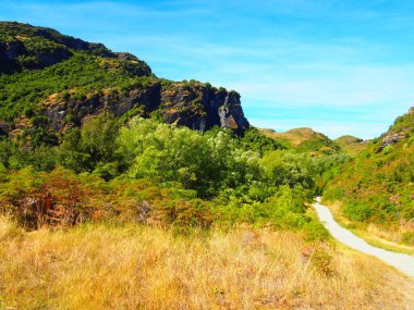 Güneşli bir günde, güneşli bir tarlada tozlu, güneşli bir yol, arka planda açık bir gökyüzü.