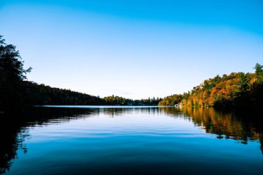 Sonbaharda ağaçlarla çevrili bir nehrin manzaralı görüntüsü.