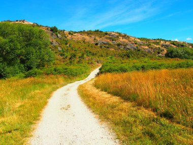 Güneşli bir günde, güneşli bir tarlada tozlu, güneşli bir yol, arka planda açık bir gökyüzü.