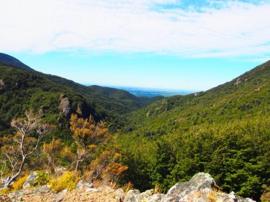 Yeni Zelanda kırsalında geniş bir dağ manzarasının manzarası.