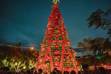 Guadalajara, Meksika 'daki Downtown Katedrali' nde yapılan Noel kutlamaları sırasında Merry Go Round uzun süre açık kaldı.