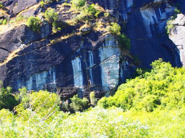 Çimenlerle, yosun bitkileriyle kaplı güneşli kaygan bir tepeye yakın çekim.
