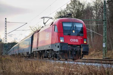 Ormanda at süren güzel bir trenin yakın çekimi.
