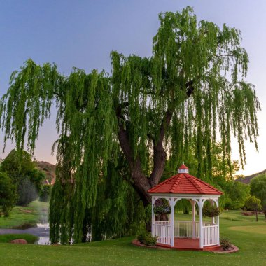 Ağlayan söğüt ve kırmızı çatılı çardak Sedona, AZ, ABD 'de yeşil çimlerde.