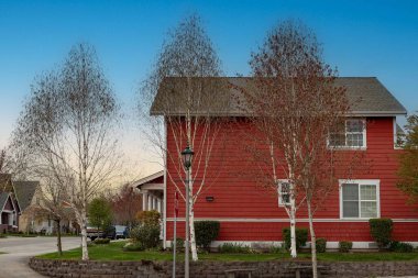 Paulsboro 'da manikürlü çimleri olan İskandinav tarzı bir ev, WA, ABD