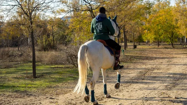 Homem Negro Montando Cavalo Branco Fazenda — Fotografia de Stock
