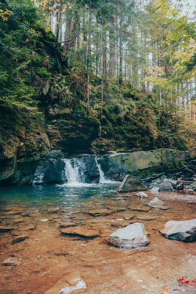 Vertical Shot Beautiful Waterfall Forest — Stock Photo, Image
