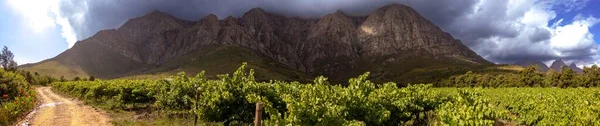 Panoráma Felvétel Slanghoek Kis Drakenstein Elandskloof Hegyvonulatok Dél Afrikában — Stock Fotó