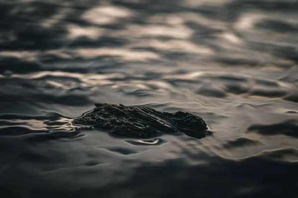 不均一な物体が流れ込む暗い水の波の接近 周囲の日光 — ストック写真