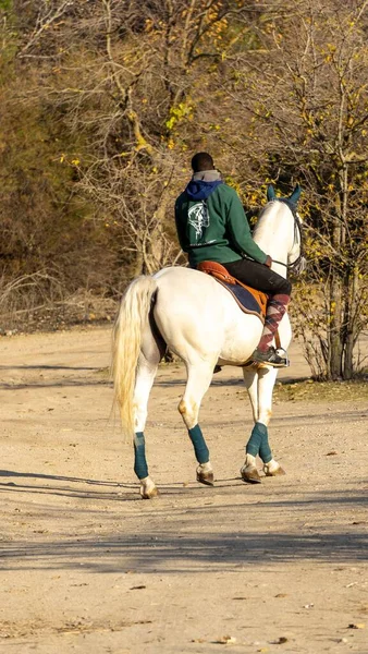 農場で白い馬に乗っている黒人の垂直ショット — ストック写真