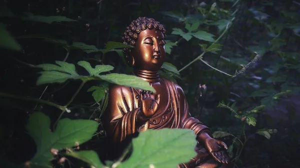 在森林里冥想的一个褐色的佛像 周围有绿色的植物 — 图库照片