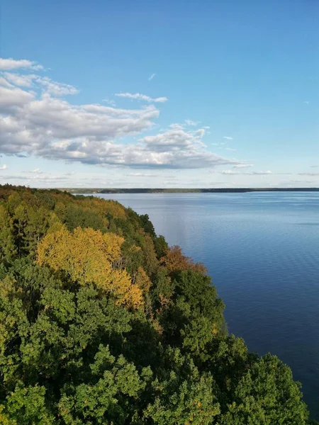 Vzdušný Dron Pohled Krásné Klidné Jezero Obklopené Stromy Slunečného Dne — Stock fotografie