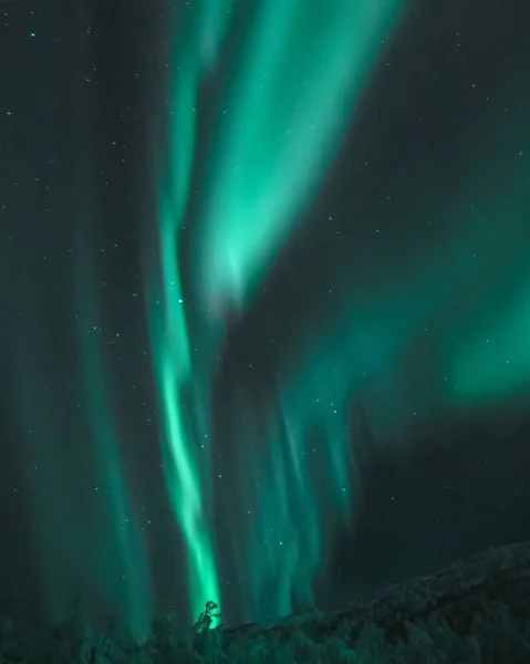 Eine Vertikale Langzeitbelichtung Grüner Polarlichter Über Den Dunklen Sternenhimmel Norwegens — Stockfoto