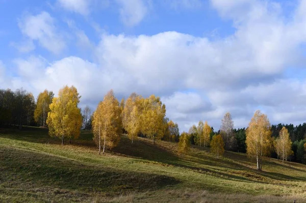 Horizontal View Green Hill Yellow Trees Blue Sky White Clouds — Stock Photo, Image