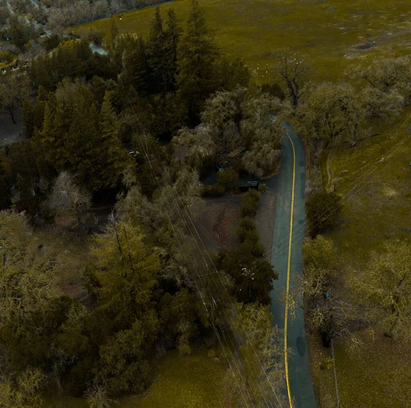 Vzdušný Výhled Cestu Obklopenou Hustými Stromy — Stock fotografie