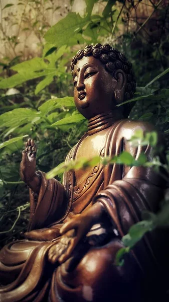 Вертикальний Знімок Коричневої Статуї Будди Медитації Лісі Зеленими Рослинами Навколо — стокове фото